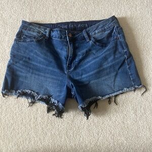 Calvin Klein Jeans Distressed Blue Jean Shorts
